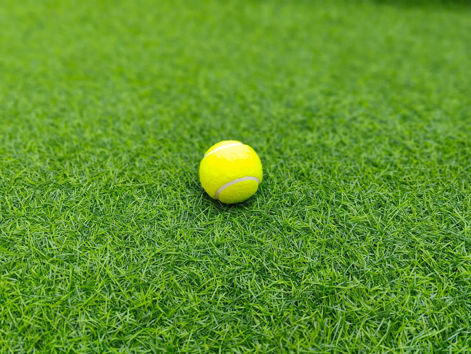Soft Tennis Bats